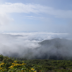 Fundraising Page: Grace Baker